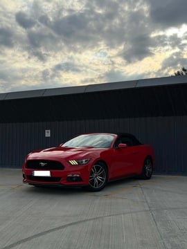 Ford Mustang view 2