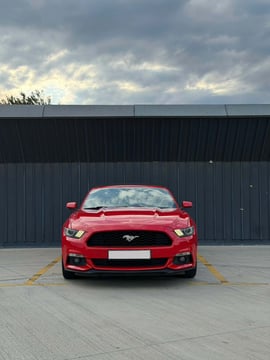 Ford Mustang view 6