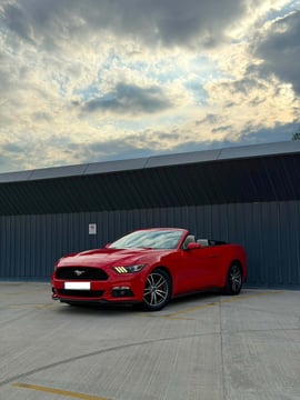 Ford Mustang view 9
