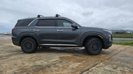 Hyundai Palisade — exterior view 3
