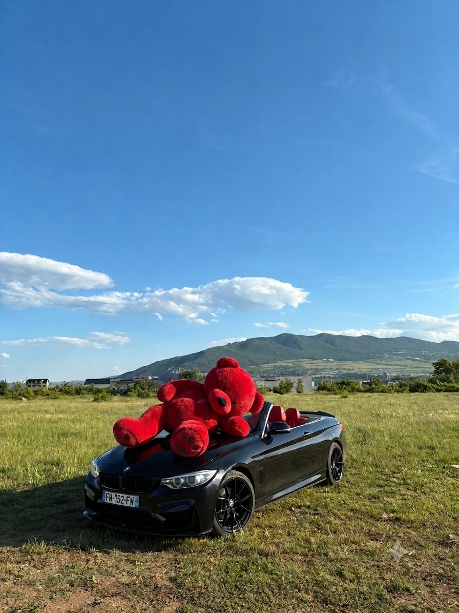BMW 428 CABRIO — exterior view 3
