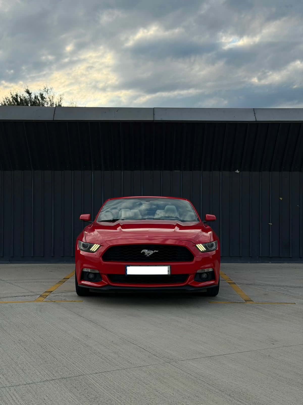 Ford Mustang — exterior view 4