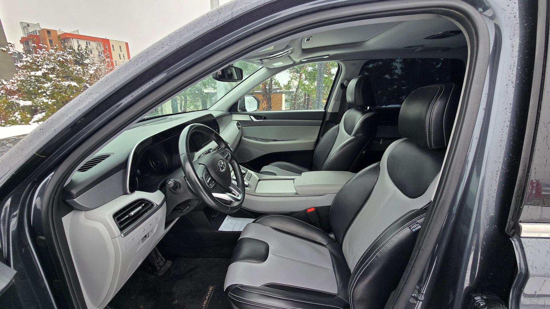Hyundai Palisade — exterior view 10