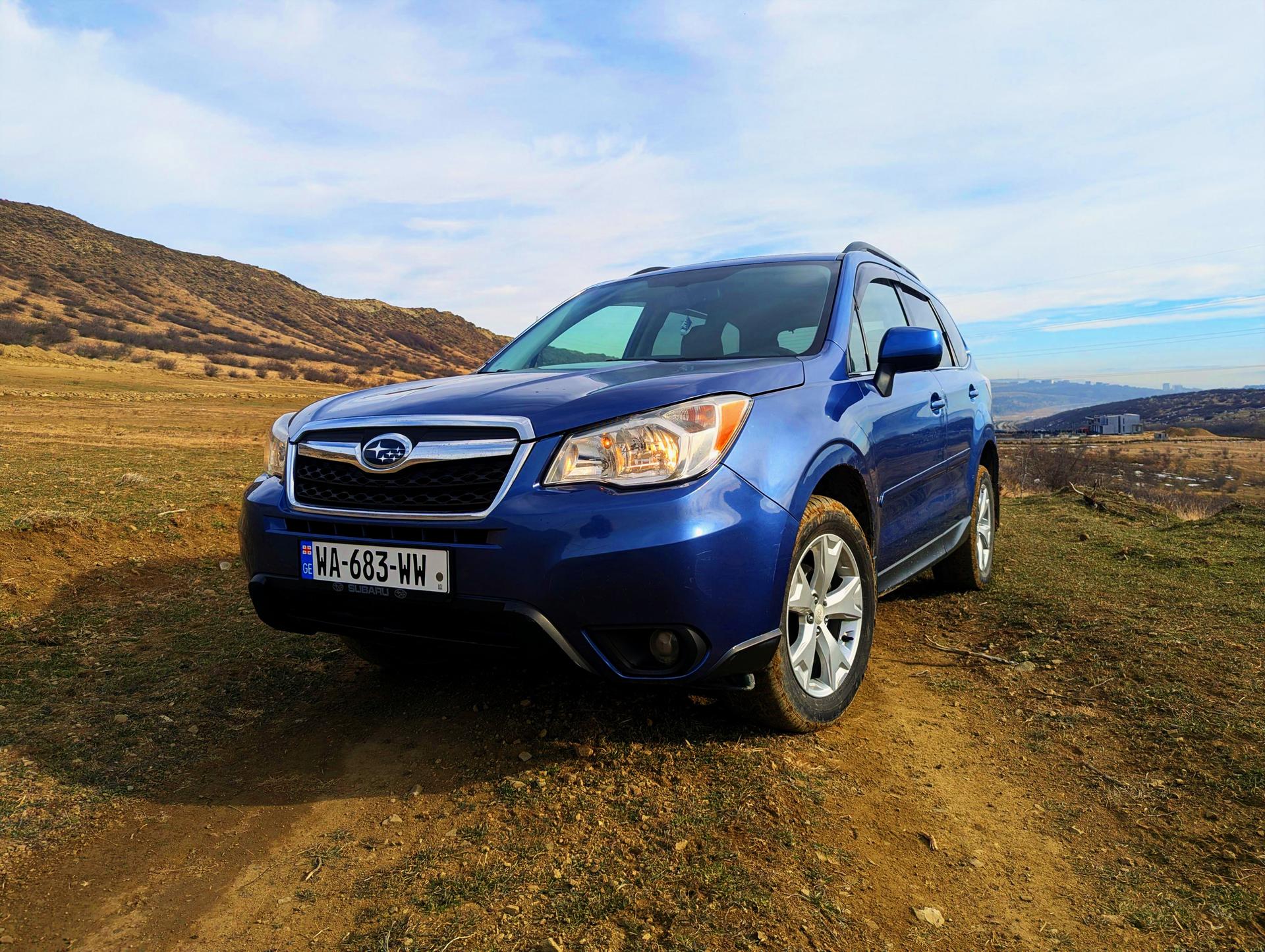 Blauer Subaru Forester 2015, das häufigste Modell der Flotte, auf einem Feldweg in den Hügeln